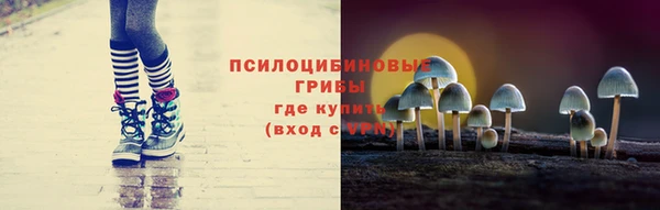 экстази Дмитров