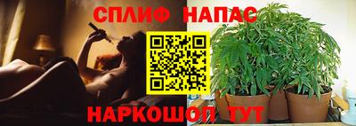 стафф Апшеронск