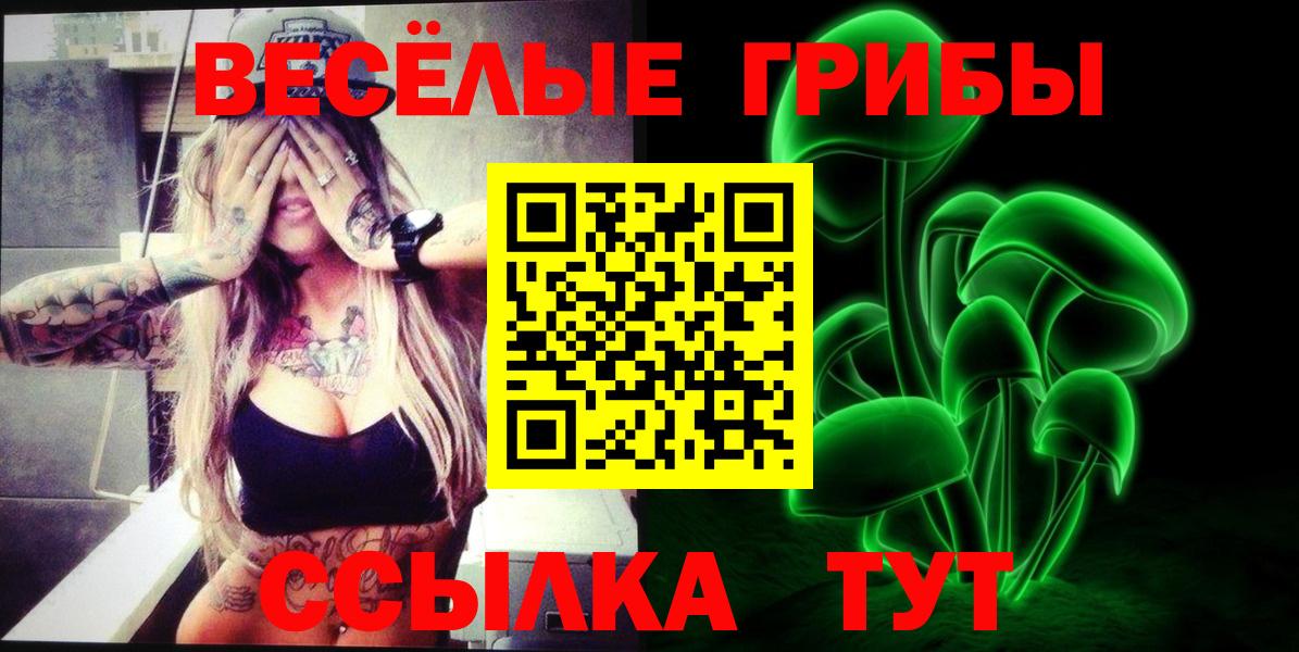 наркотики  Выборг  Псилоцибиновые грибы Cubensis 