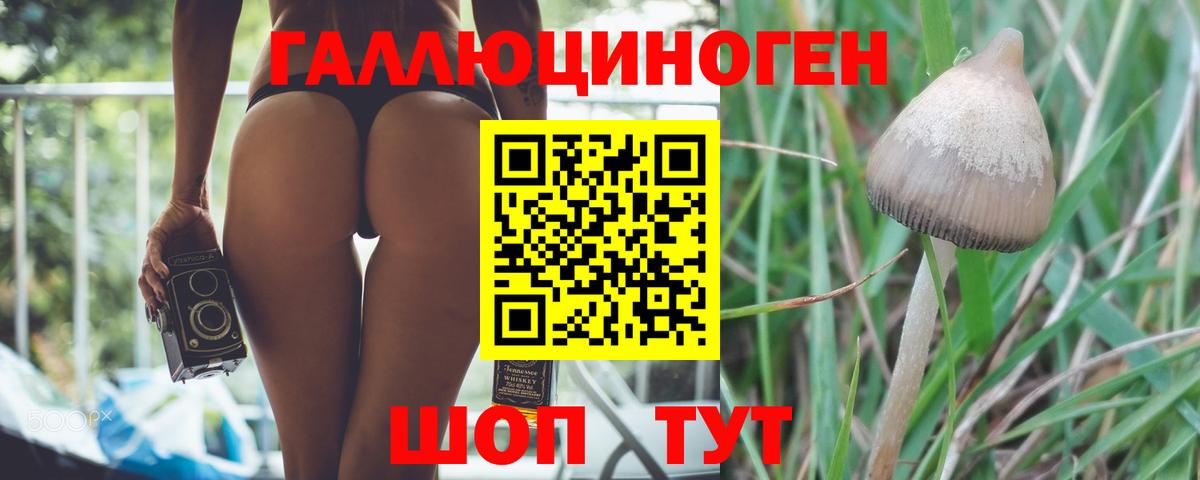 Выборг  купить закладку  Вход с VPN  Галлюциногенные грибы мицелий  Галлюциногенные грибы мухоморы 