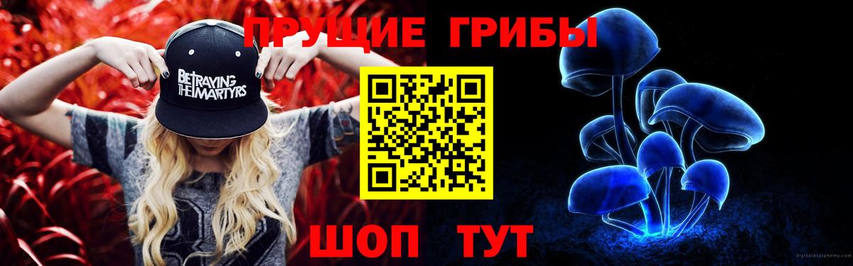 Псилоцибиновые грибы прущие грибы Выборг