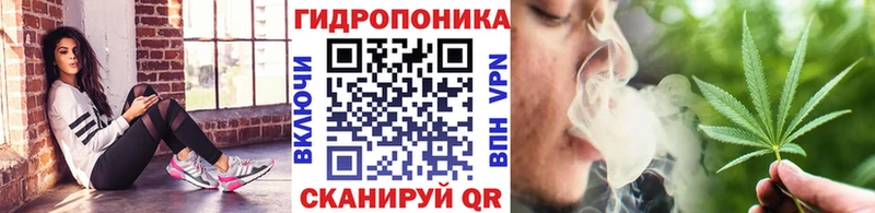 Шишки марихуана план  где купить наркоту  Выборг 