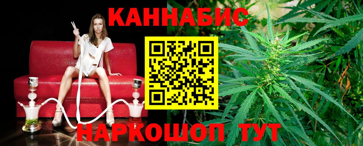 Шишки марихуана конопля Выборг